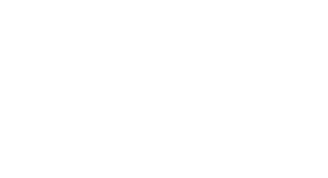 LIFE EFFECTIVE by Dr. Gäbler